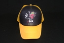 帽子廣告-泡棉帽34
